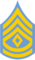 NJSP - Sergeant Major.png