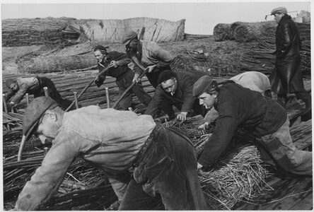 Flevoland, ca,1950