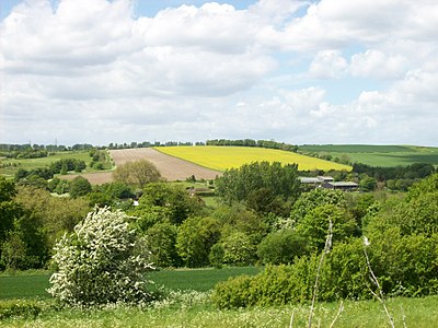 Tirwedd nodweddiadol y Twyni Deheuol: ger Eynsford, Caint