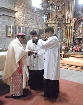 Obispo-emérito, durante la celebración eucarística del 2015