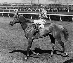 PETER PAN lll VRC MELBOURNE CUP 1932 & 1934.JPG