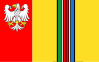 Bandeira do Condado de Łowicz