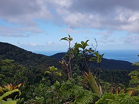 Vue du piton Grand Fond.