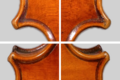 The distinctive purfling on the back of a violin by François Perrin, present on only some of his violins