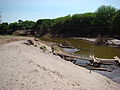 Miniatura para Ecorregión de agua dulce Chaco