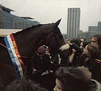 Red Rum at Castle Park, Bristol 1980