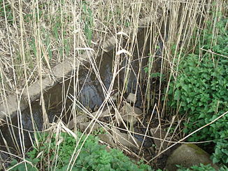 Da Rohrwiesenbach (voane rechts) mindt in an Haggraben (vo voane links noch hintn rechts)