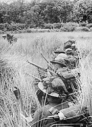 Photograph of a line of soldiers crouching on the ground taking cover in tall vegetation