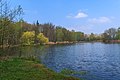 Pohled na rybník Borovinka