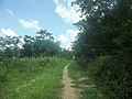 Camino a la hacienda San Juan Hau.