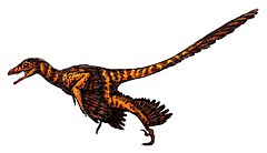 Description de l'image Sinornithosaurus.jpg.