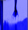 Nine Inch Nails}}, révélée par spectrogramme.