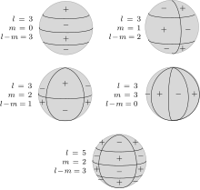 Schematic representation of spherical harmonics on a sphere and their nodal lines. Pl m is equal to 0 along m great circles passing through the poles, and along l-m circles of equal latitude. The function changes sign each ltime it crosses one of these lines. Spherical harmonics positive negative.svg