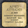 Stolperstein Wittelsbacher Allee 46 Auerbacher Alfred