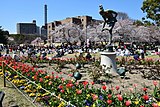 鶴舞公園花まつり （2015年（平成27年）3月）