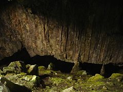 Ѕидот на пештерта од кој се отвораат повеќе други канали и сали
