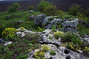 Прохова скалка