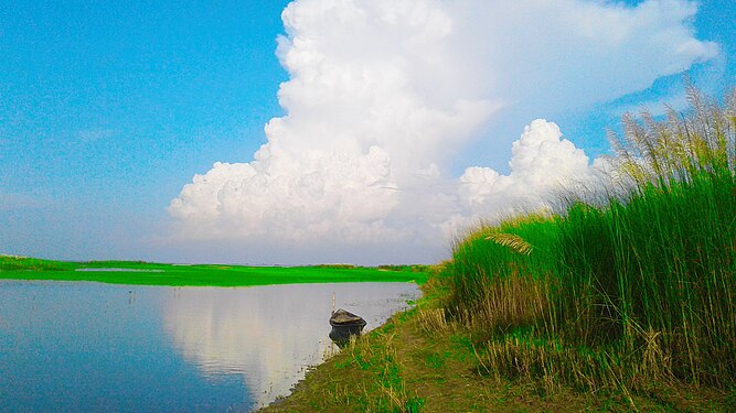 শরৎকাল