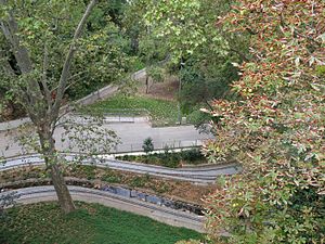 Parque desde el puente del Paseo.