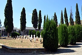 Vista interior del cementerio municipal de Torrebaja, con detalle de cipreses y señalizaciones en tierra (2016).