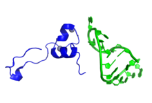 6CYT HIV Tat TAR complex.png