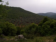 Las montañas de Gobernación de Ajlun.