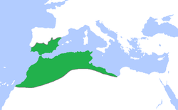 The Almohad dynasty (green) at its greatest extent, c. 1200.