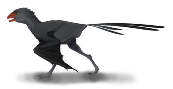 Ambopteryx longibrachium restoration