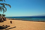 Aqaba Marine Reserve