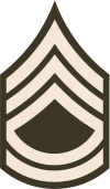 Знак отличия сержанта первого класса