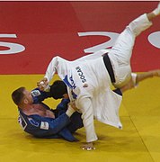 Judo Grand Slam Paris 2018 : Ippon of Axel Clerget