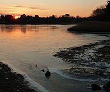 Пруд Больё Милл, Нью-Форест, Великобритания - Panoramio.jpg