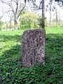 Piatră veche de mormânt în curtea bisericii