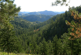 Kaŝmemoro La Poudre Wilderness.png