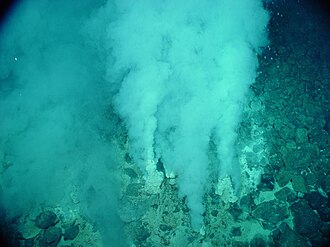 Evidence of possibly the oldest forms of life on Earth has been found in hydrothermal vent precipitates. Champagne vent white smokers.jpg