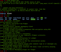 A screenshot of the bash command line. Each command is typed out after the 'prompt', and then its output appears below, working its way down the screen. The current command prompt is at the bottom. Command line.png