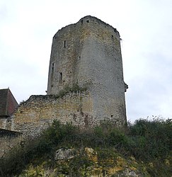 The ruins of the Château du Châtelier, in Paulmy