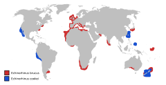 Mapa występowania