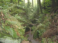 Naturschutzgebiet Teufelsloch, September 2008