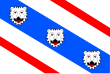 Vlag