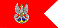ポーランド海軍の軍旗(通常)