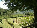 Miniatura para Jardín de las Hierbas A. Rinaldi Ceroni