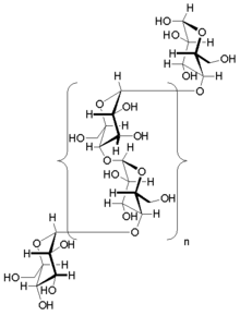 a(1-4)-glycosidic linkages in the glycogen oligomer Glycogen2.PNG