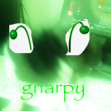 blurry picture of my cat with alien antennas and with the picture's hue being green. there is papyrus font text saying "gnarpy"