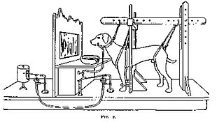 Ivan Pavlov research on dog's reflex setup Ivan Pavlov research on dog's reflex setup.jpg