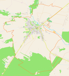Mapa konturowa Iwanisk, blisko centrum na prawo u góry znajduje się punkt z opisem „Iwaniska”