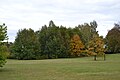 park i aleja lipowa prowadząca z Rynku i otaczająca zespół od wschodu, kon. XVI