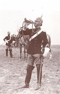 Image illustrative de l’article Garde impériale autrichienne