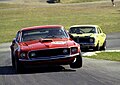 Ford Boss 302 Mustang - Allan Moffat