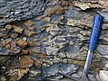 Mudshale clasts in one of the roadcuts near Jackson. Rock hammer for scale.